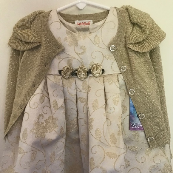 La Princess Gold Shimmer Sparkle Swiss Roses Dress - Picture 11 of 11